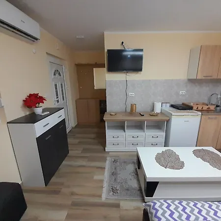 Tina1 * Valjevo