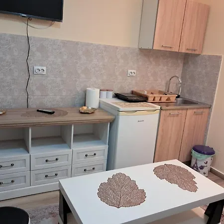 Tina1 Apartment Valjevo