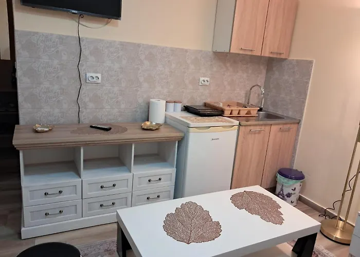 Tina1 Apartamento Valjevo